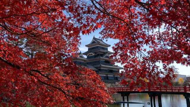 松本城（紅葉）_天守