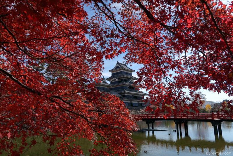 松本城（紅葉）_天守＆もみじ